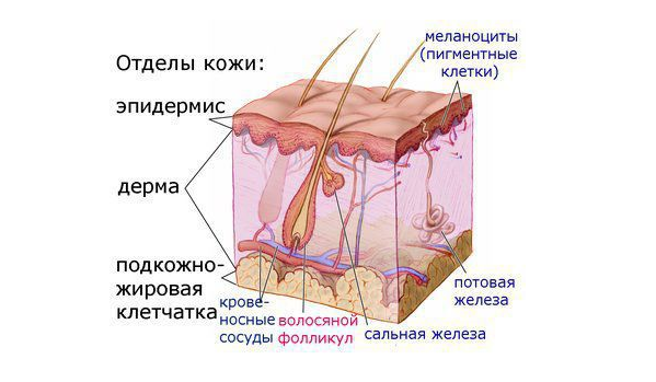 Лечение акне в Галамед.png Лечение акне в Галамед.png